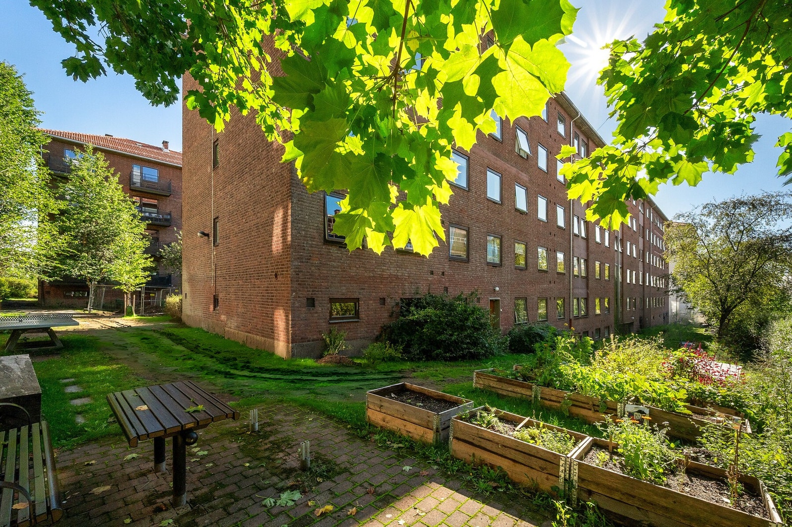 Har du grønne fingre? Borettslaget har en egen kjøkkenhage/plantekasser. Galleribilde