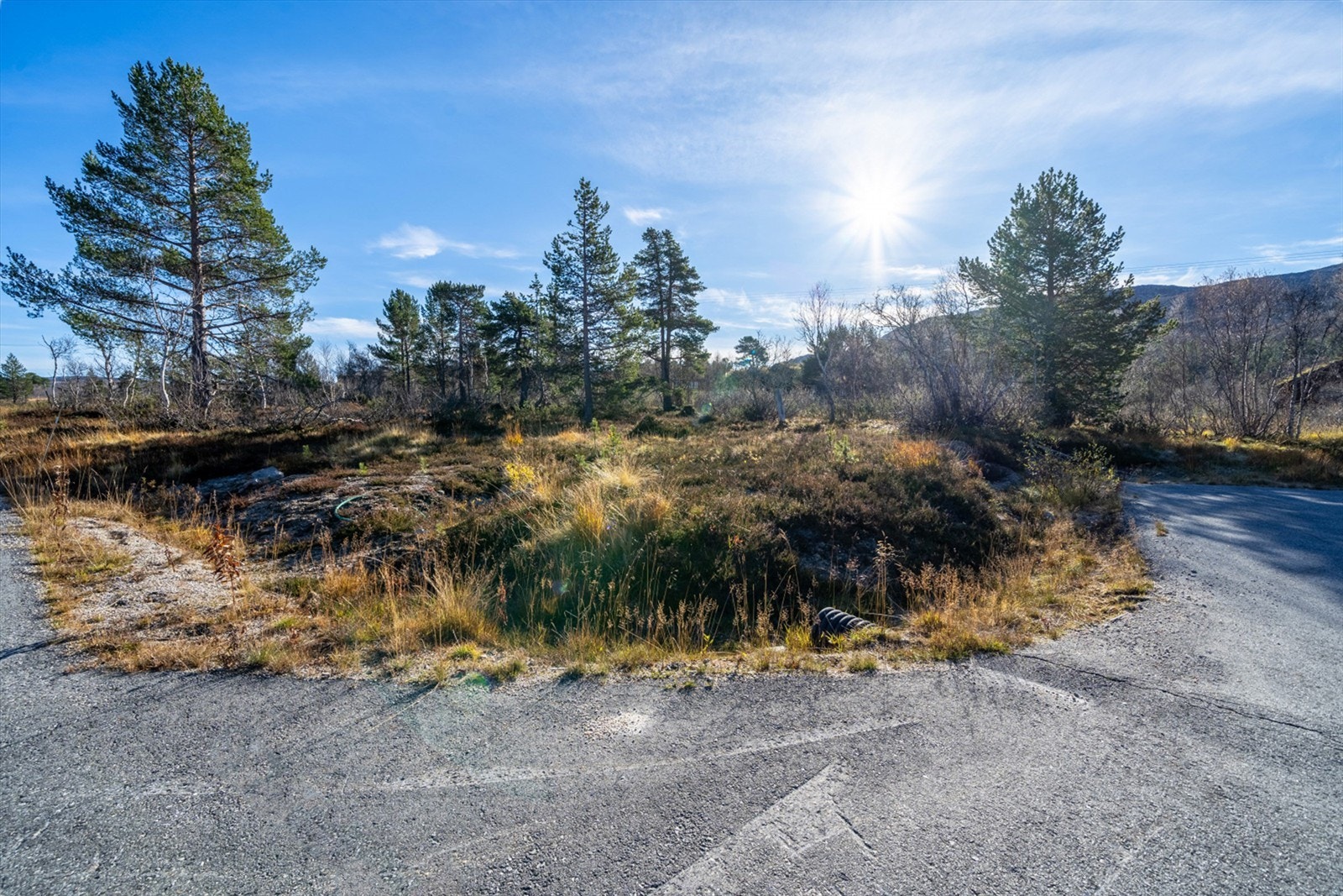 - Velkommen til Solseterkollen 12 - Galleribilde