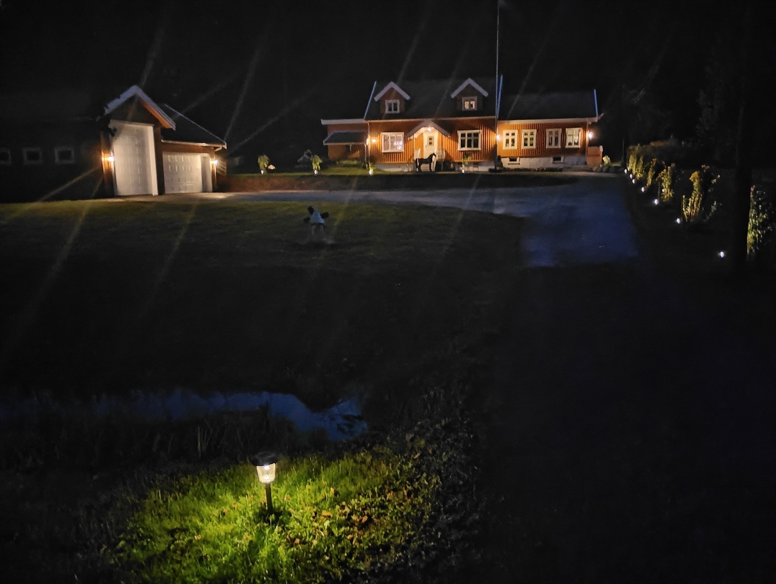 Selgers private bilder. Galleribilde