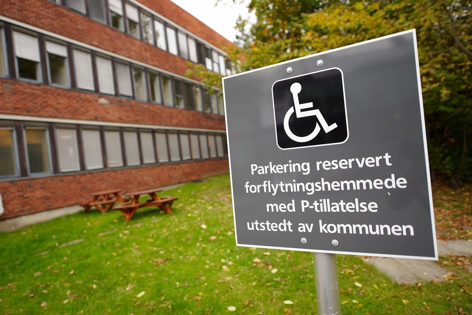Handicap-parkering Galleribilde