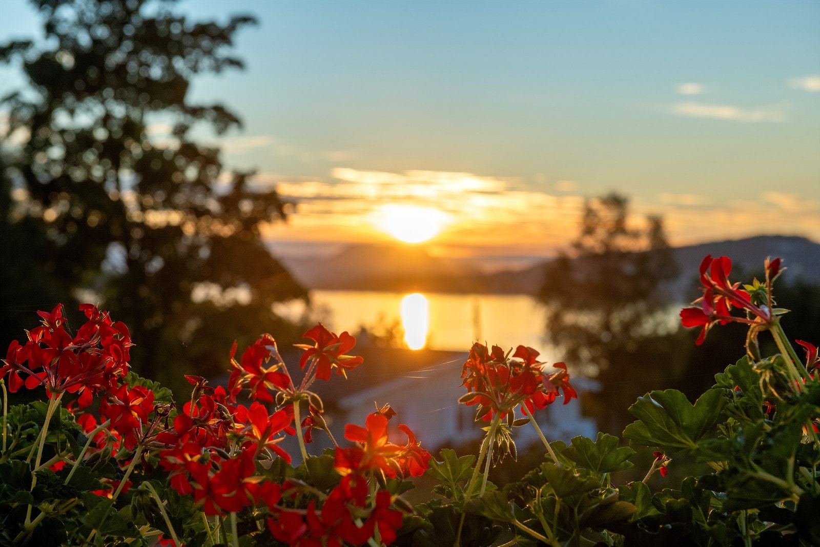 Flotte solnedganger kan nytes fra eiendommen Galleribilde