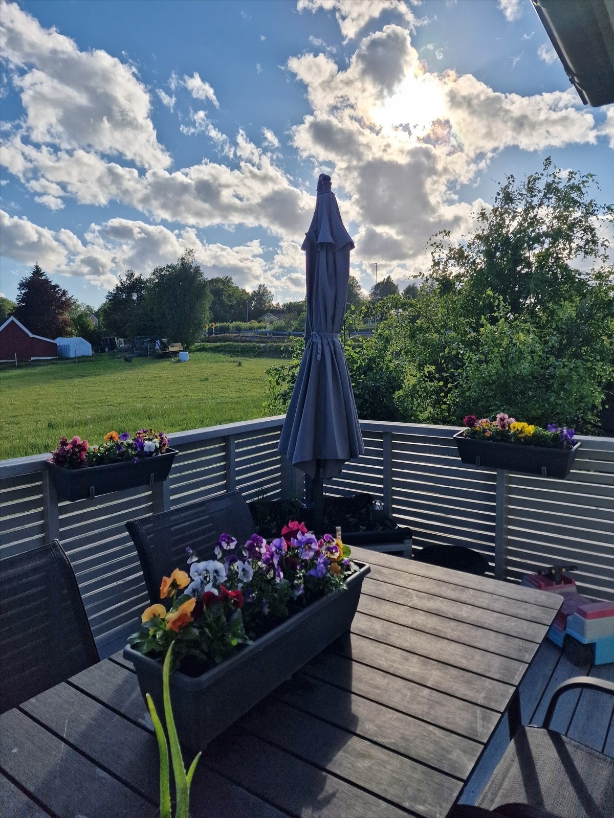 Selgers bilde fra sommeren Galleribilde