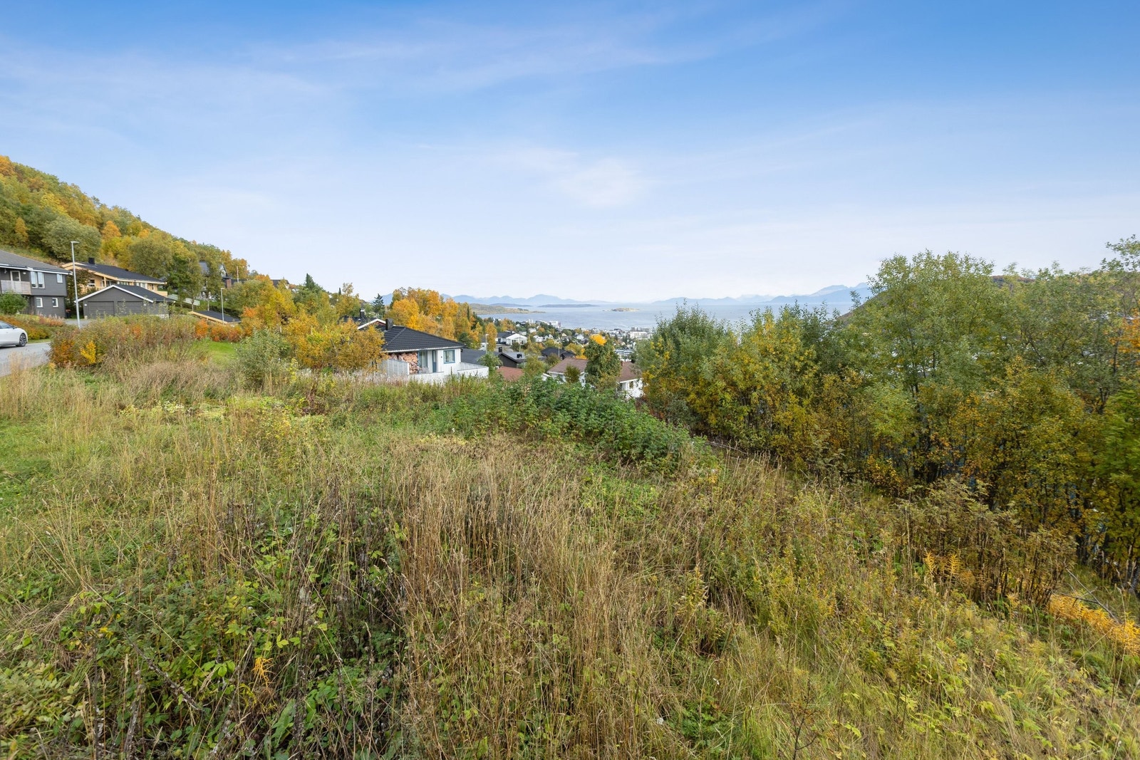 Utsikt mot nord Galleribilde