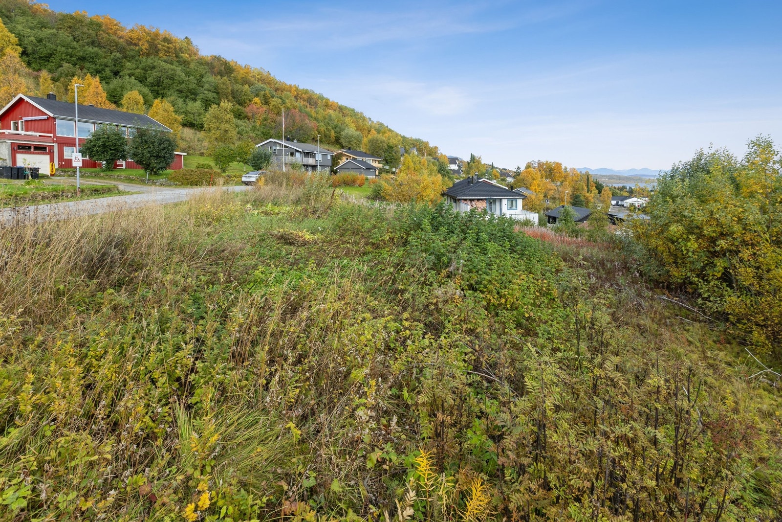 Utsikt fra midt på tomt mot nord Galleribilde