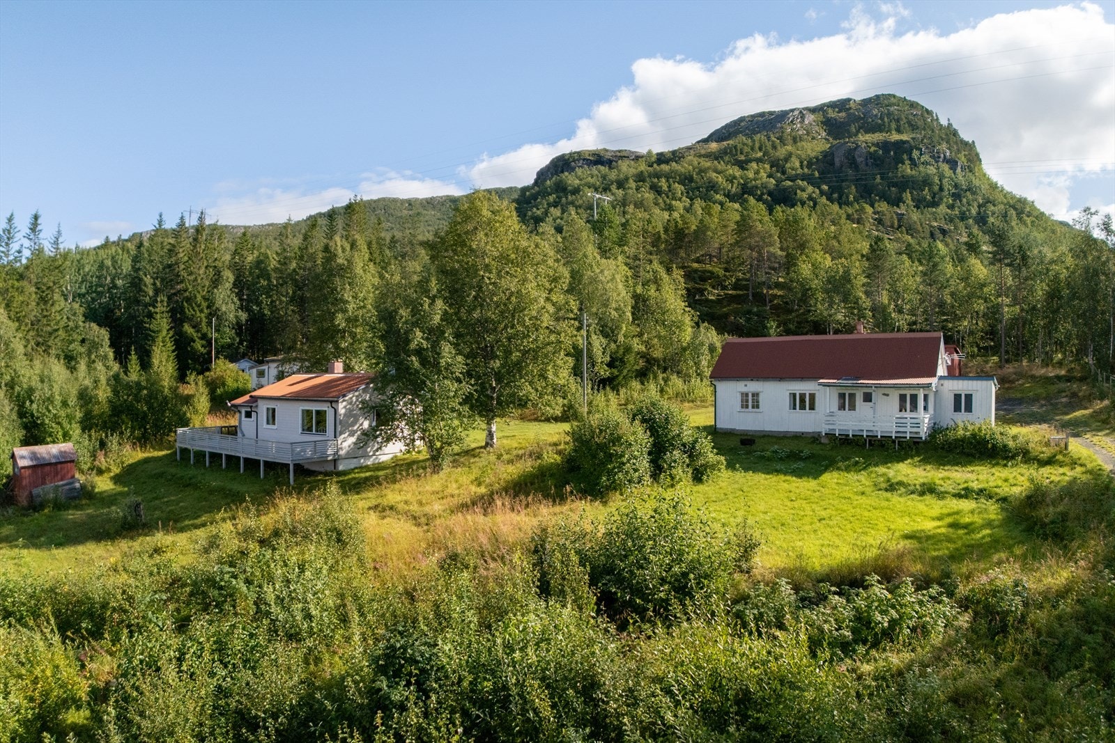 Velkommen til Bjørkodden 115! - Foto: Hanna Linnea Kristensen Galleribilde