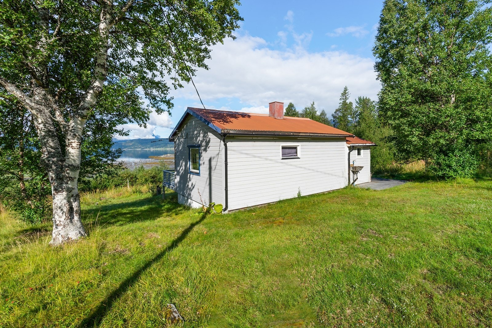 Romslig tomt med gressplen og fine trær som gir en lun atmosfære Galleribilde
