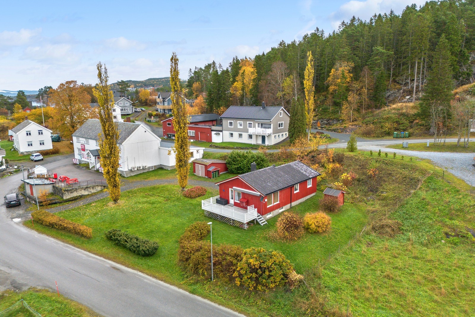 Romslig tomt på 1239 kvm. Opparbeidet med busker, trær og plen Galleribilde