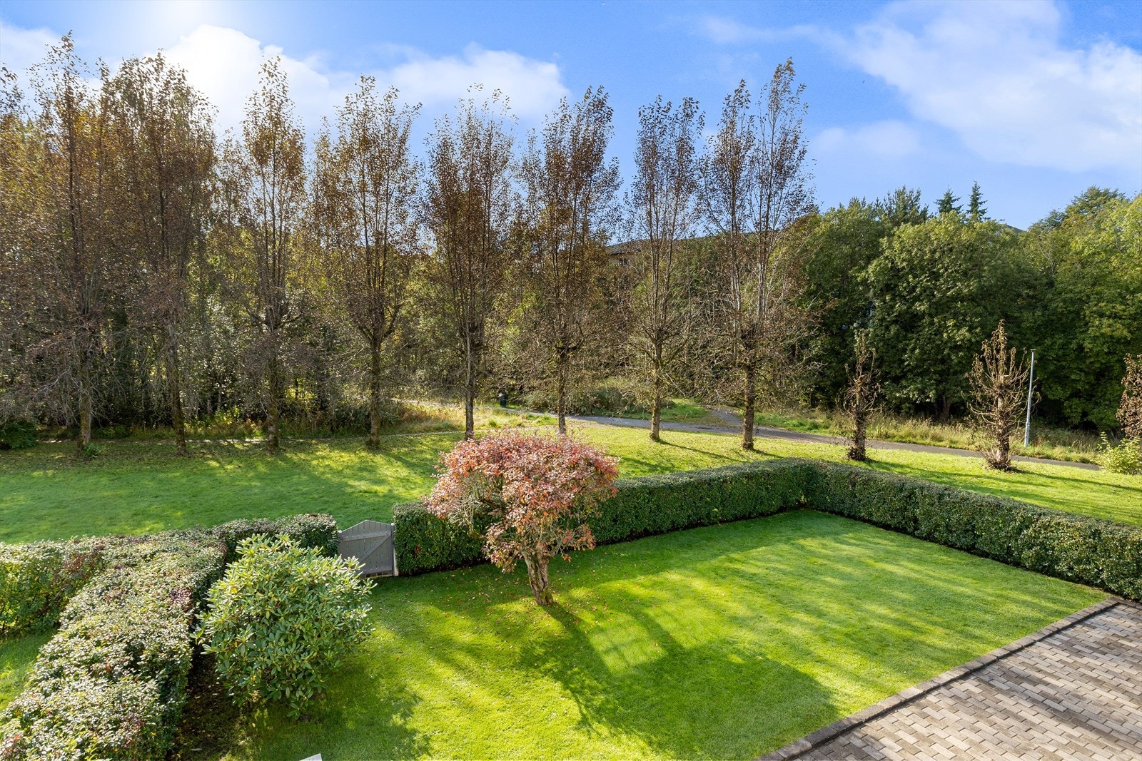 Utsikt mot skogområde gir fredelig atmosfære i hagen. Galleribilde