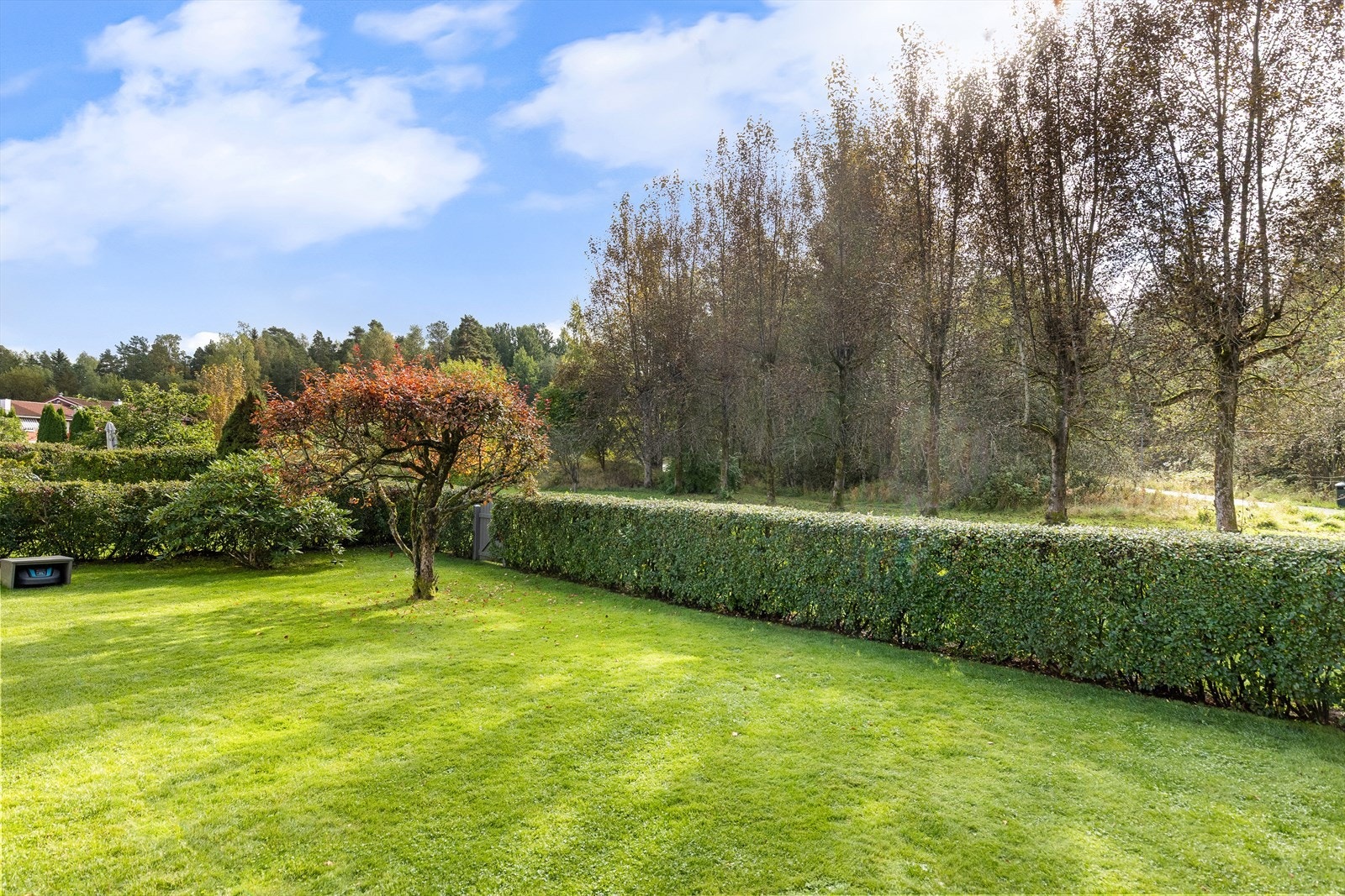Grøntområde med plen og busker gir naturlig skjermet tomt med mye hygge for store og små. Galleribilde