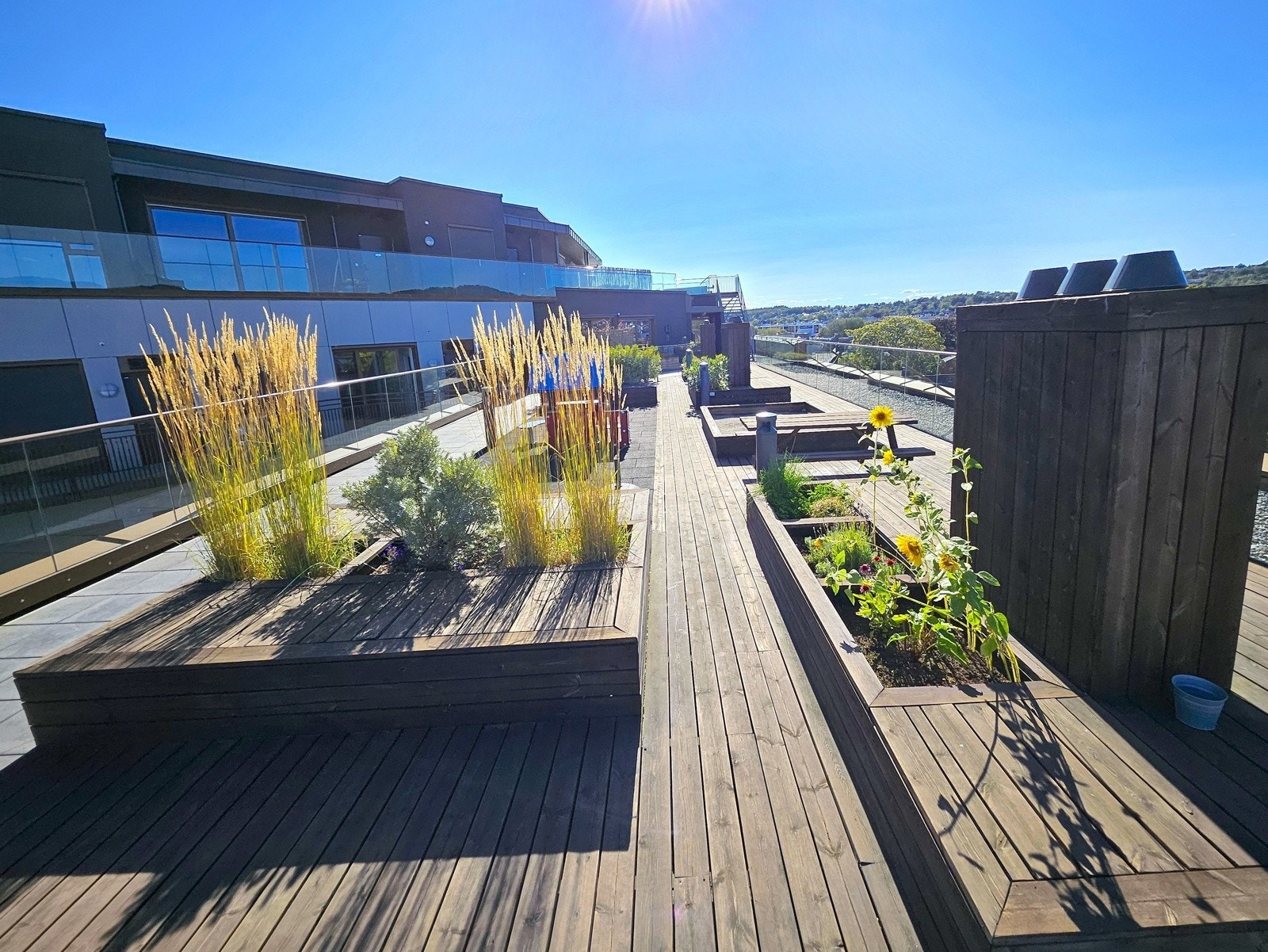 Privat bilde. Galleribilde