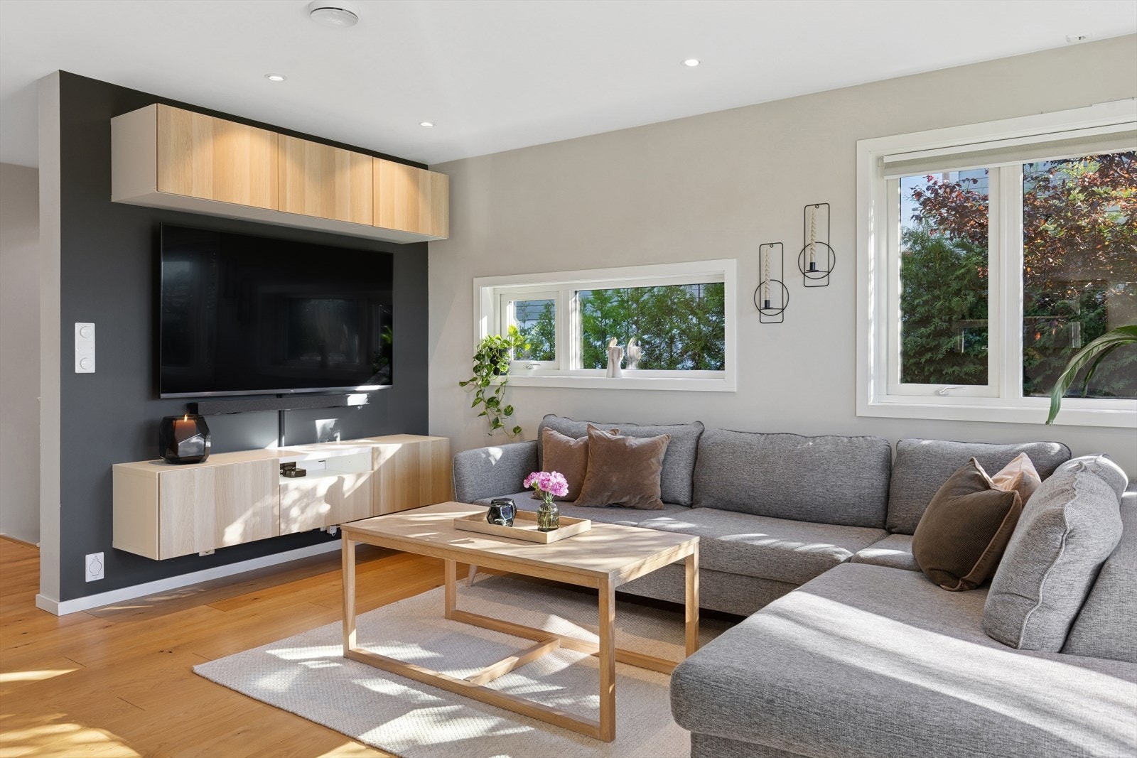 Naturlig TV-stuesone. Galleribilde