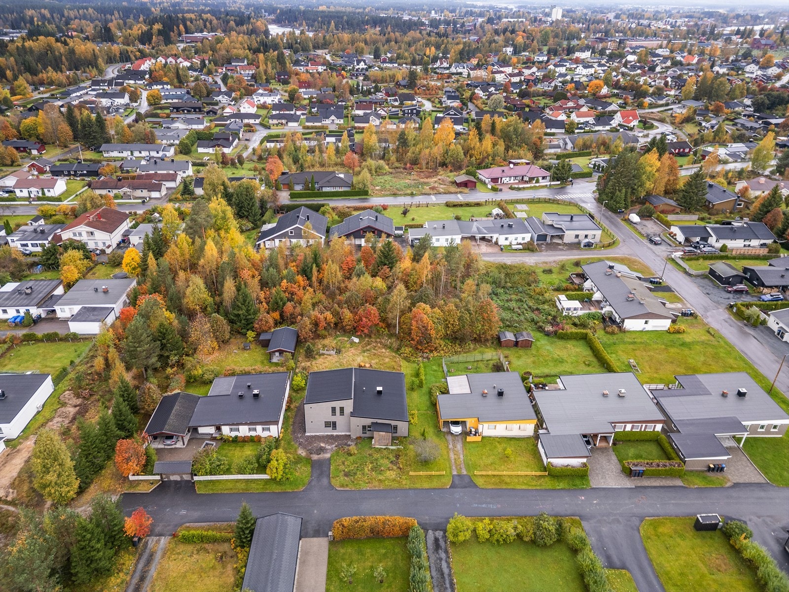 Med Svartholtet like ovenfor skal det ikke stå på turmuligheter. Her finner du fine tur- og rekreasjonsstier for både store og små. Svartholtet har kilometervis av
preparerte skiløyper på vinterstid. Galleribilde