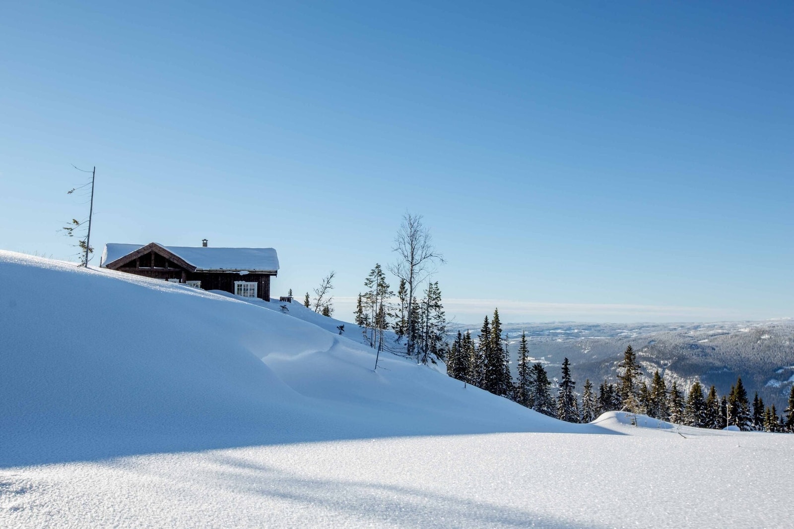 Fra tomteområdet Galleribilde