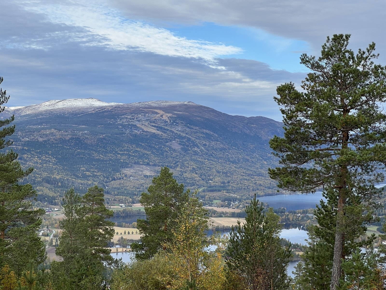 Selgers private bilde Galleribilde