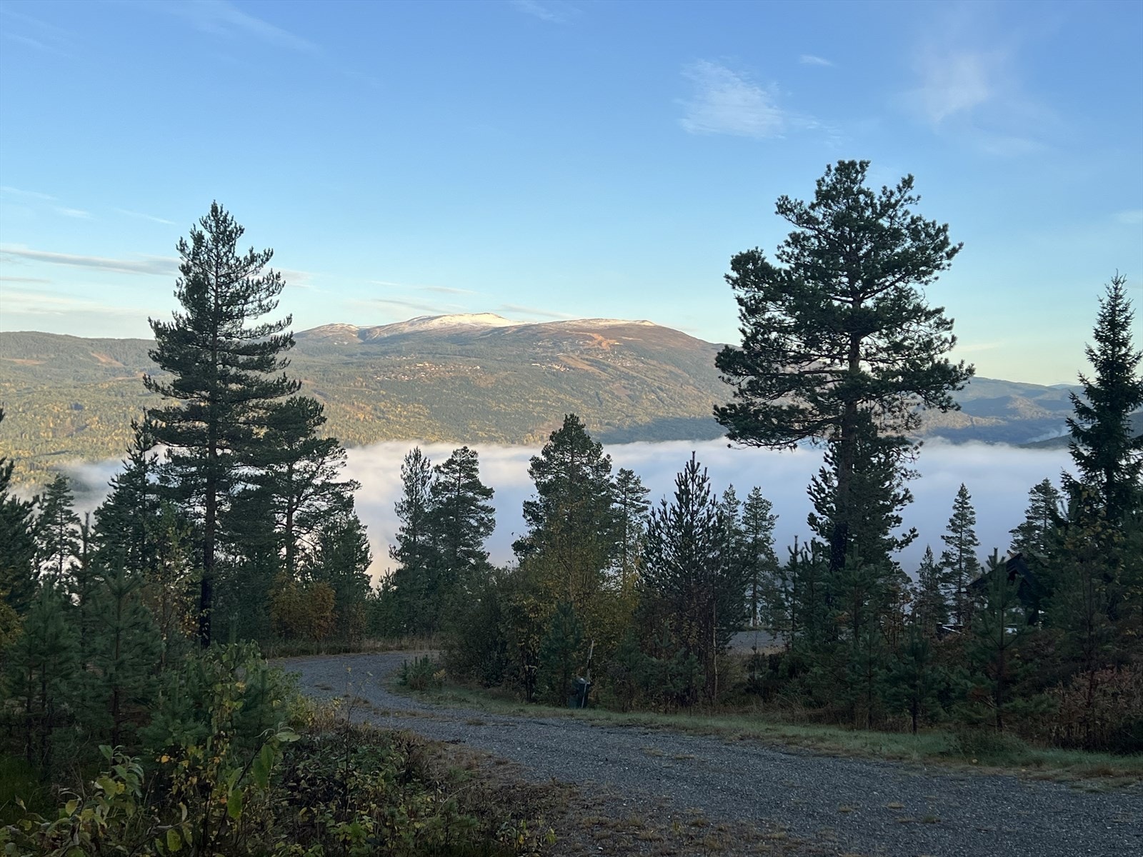 Selgers private bilde Galleribilde