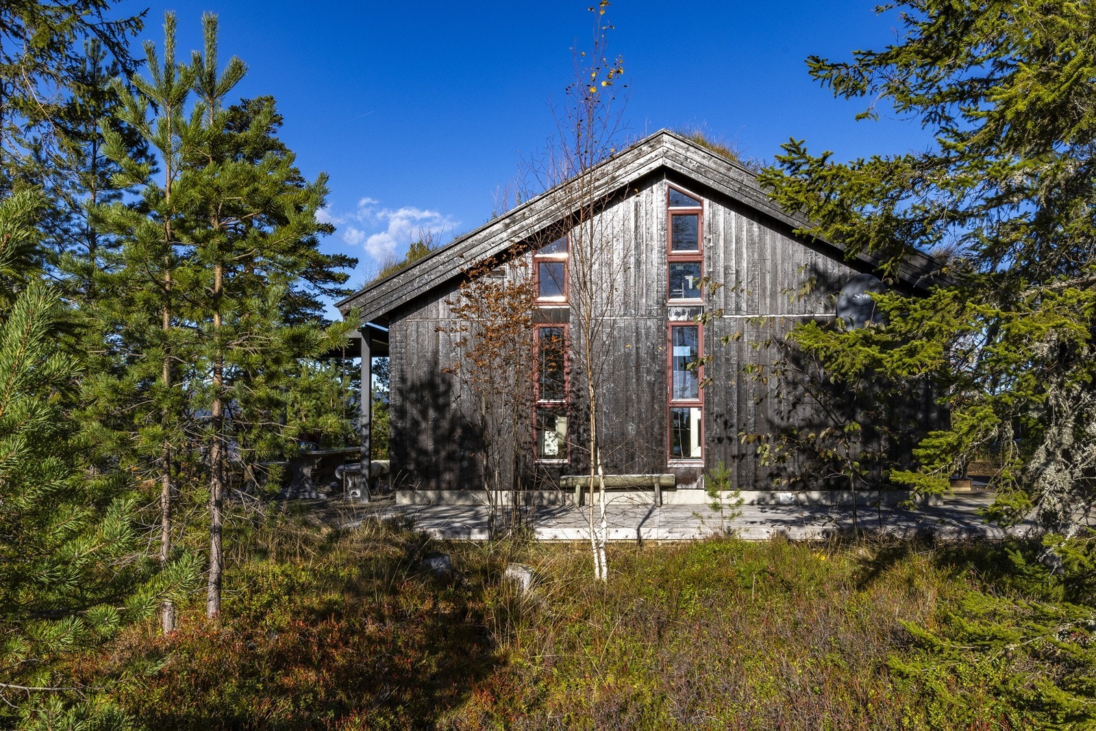 Skogstomt opparbeidet med gruset adkomstvei og gårdsplass. Galleribilde