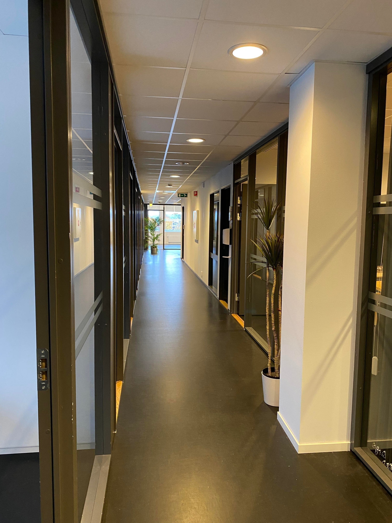 Korridor mot nord Galleribilde