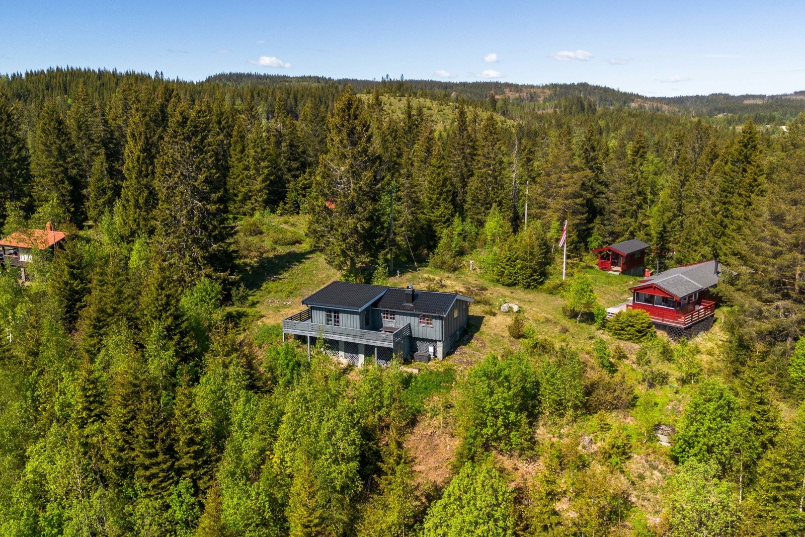 Hytta ligger på en naturtomt med gress, fjell, trær og annen stedlig vegetasjon. Galleribilde