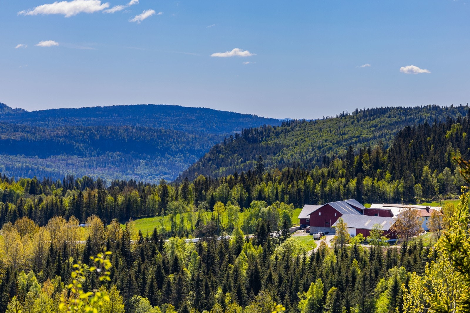 Hytta ligger i stille, landlige og naturskjønne omgivelser, ca. 9 km fra Sylling sentrum i Lier kommune. Galleribilde
