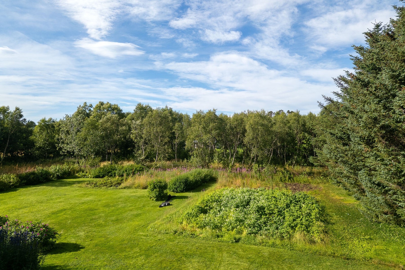 Utsikten fra balkongen og 2. etasje. Galleribilde