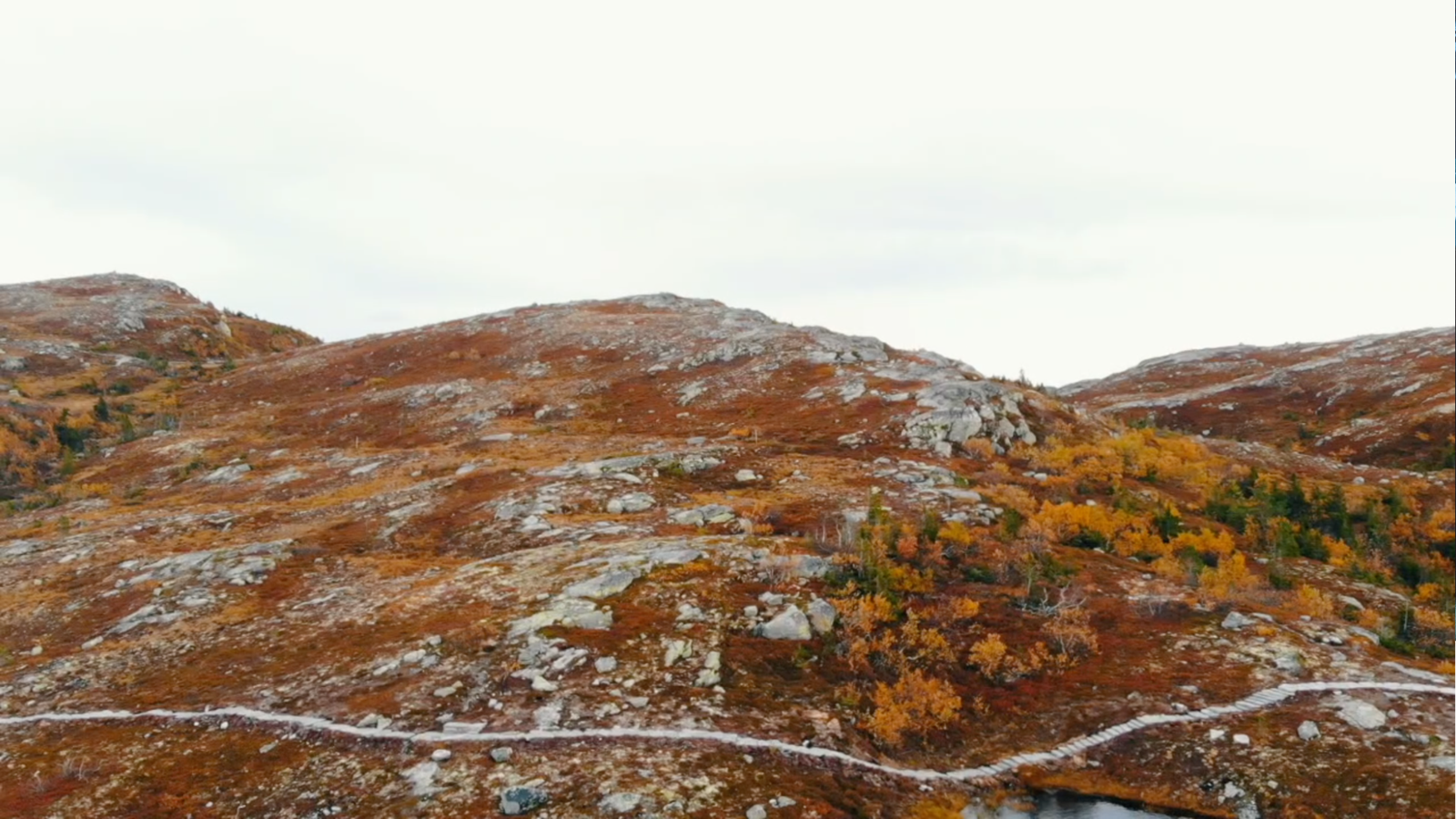 Nydelig turterreng! Galleribilde