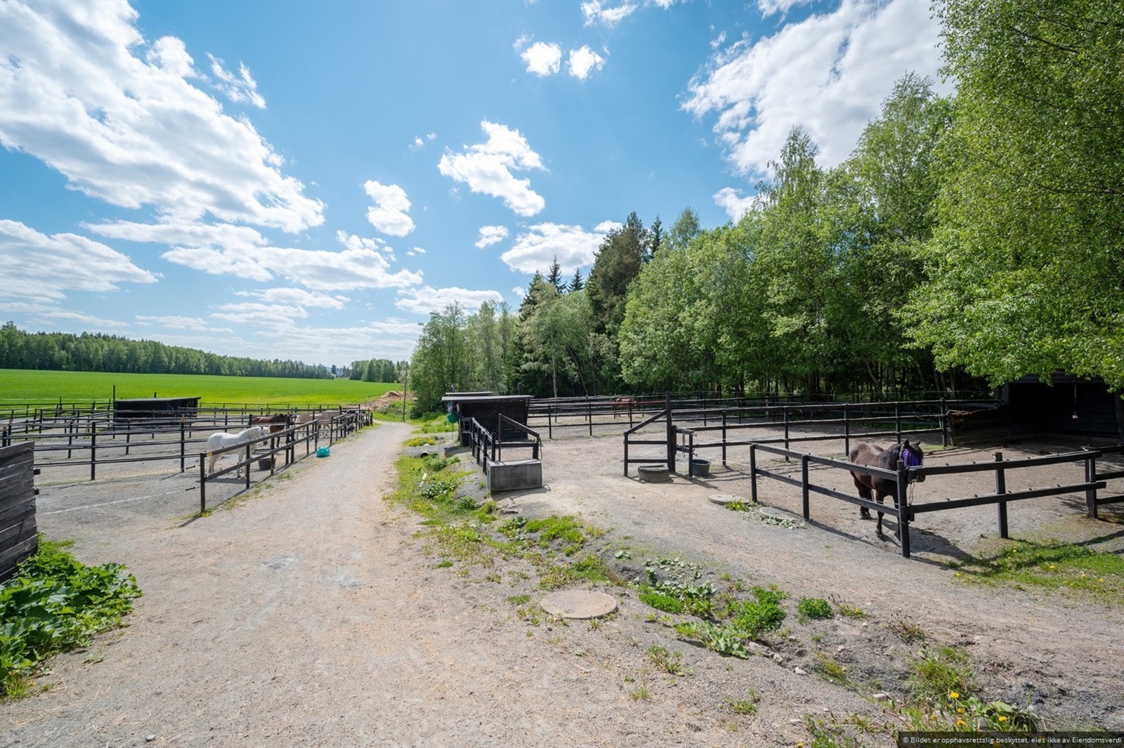 Utendørs har du også 17 paddocker. Galleribilde