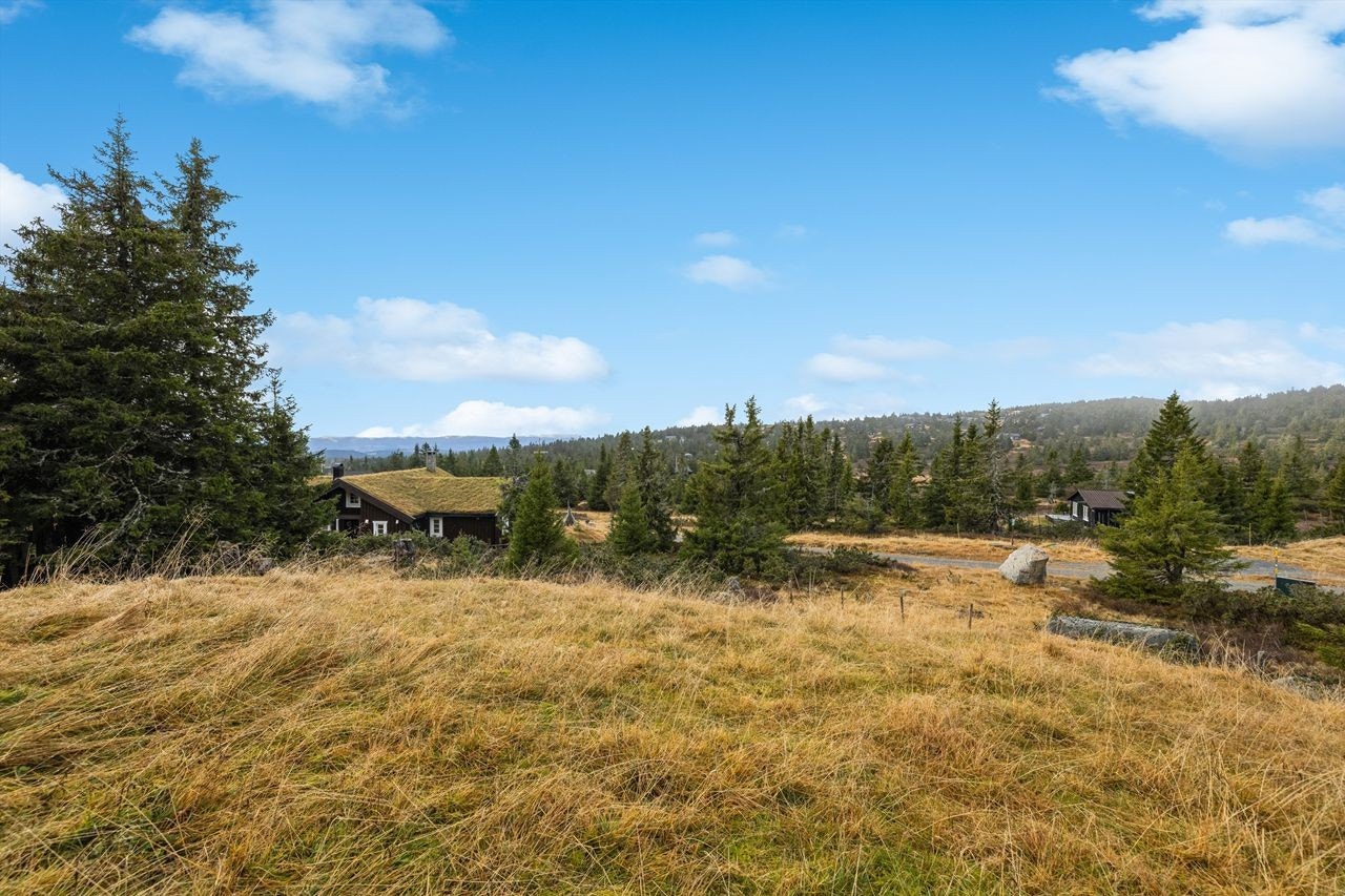 Sjusjøen er en helårsdestinasjon med umiddelbar nærhet til tur- og sykkelterreng. Galleribilde