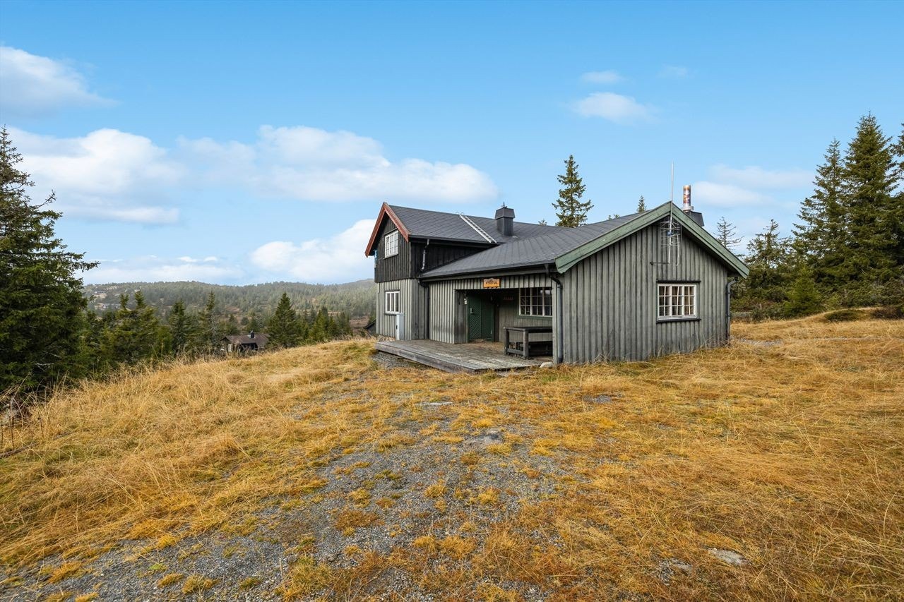 Velkommen til en hyggelig visning! Galleribilde