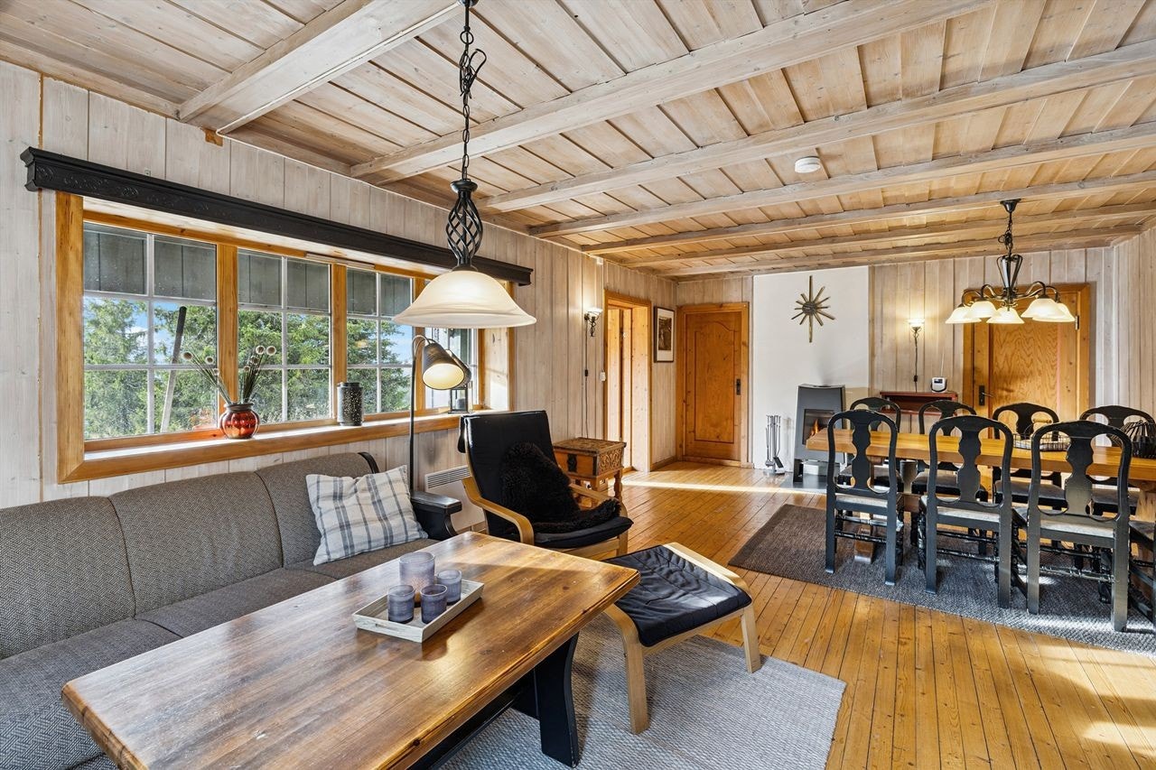 De brede vindusflatene slipper inn rikelig med dagslys og gir utsyn mot naturen. Galleribilde