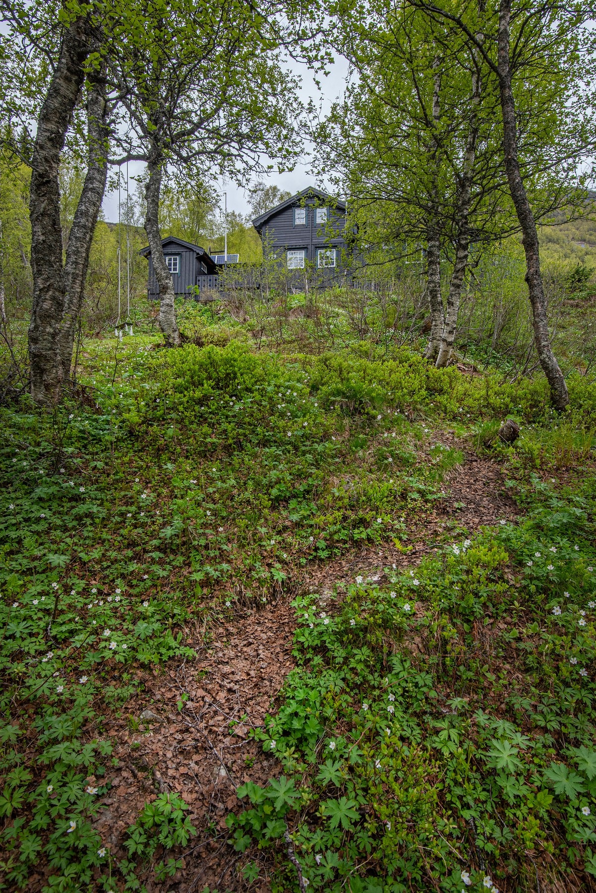 Velkommen! Fra parkeringsplassen er det sti opp til hytten. Galleribilde