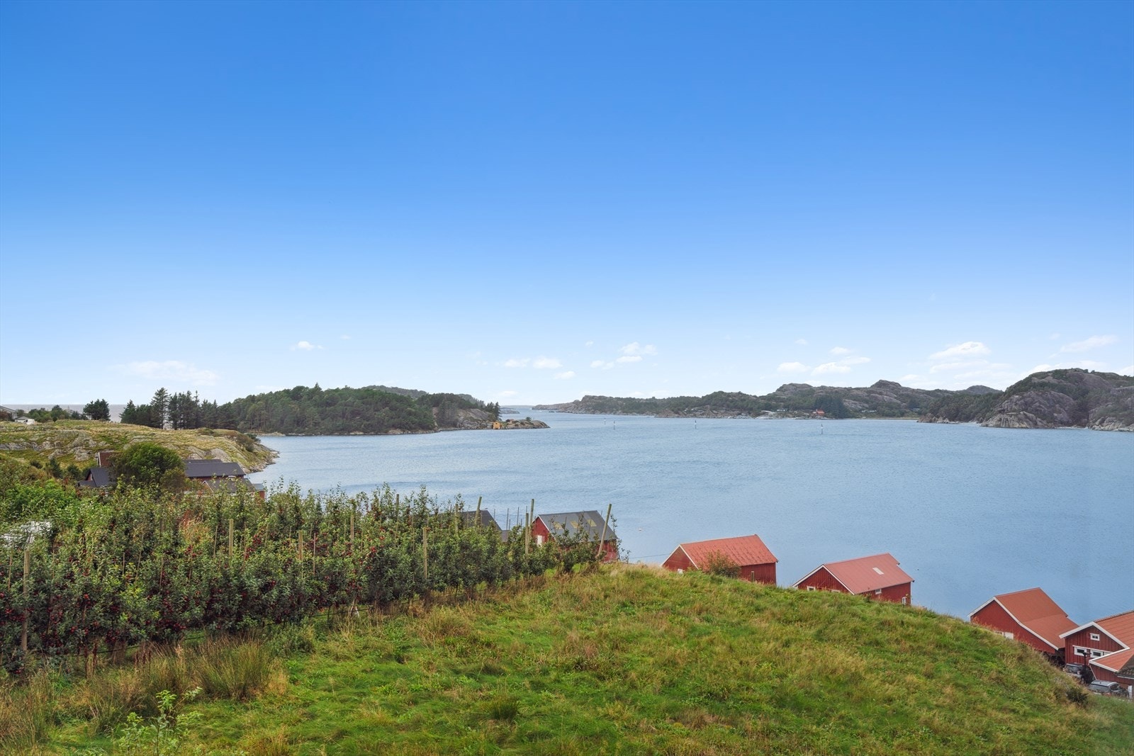 Fantastisk utsikt - et levende kystlandskap som skifter med lyset og årstidene. Galleribilde