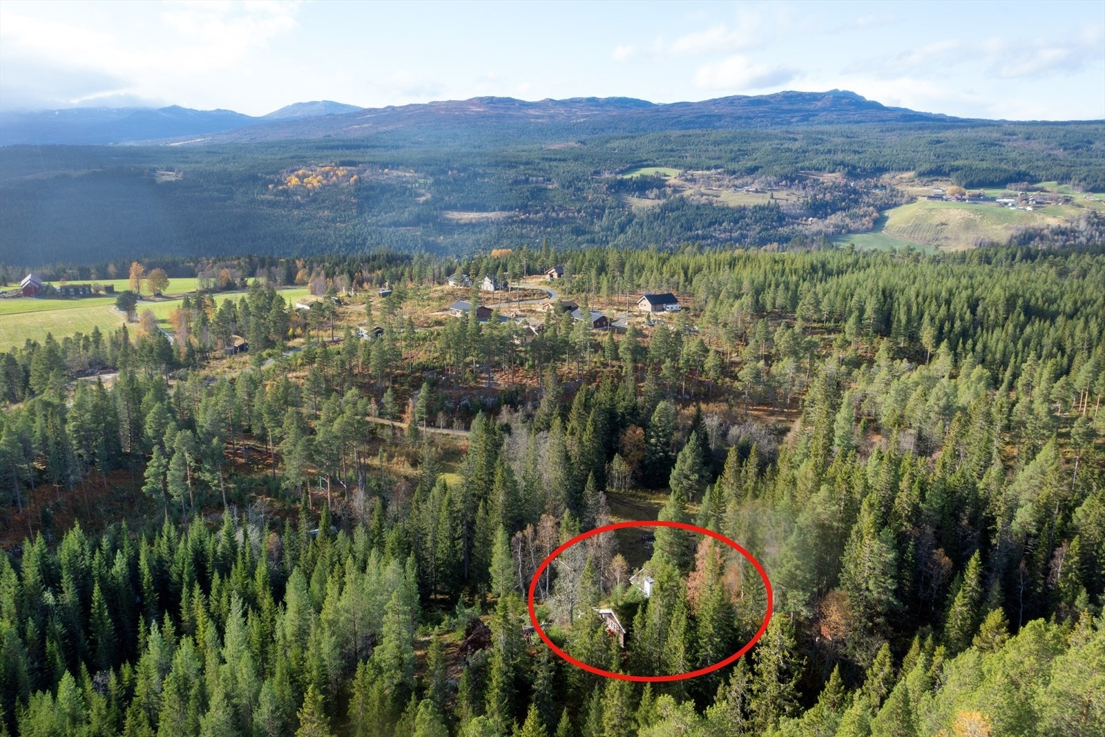 Oversiktsbilde med markering Galleribilde