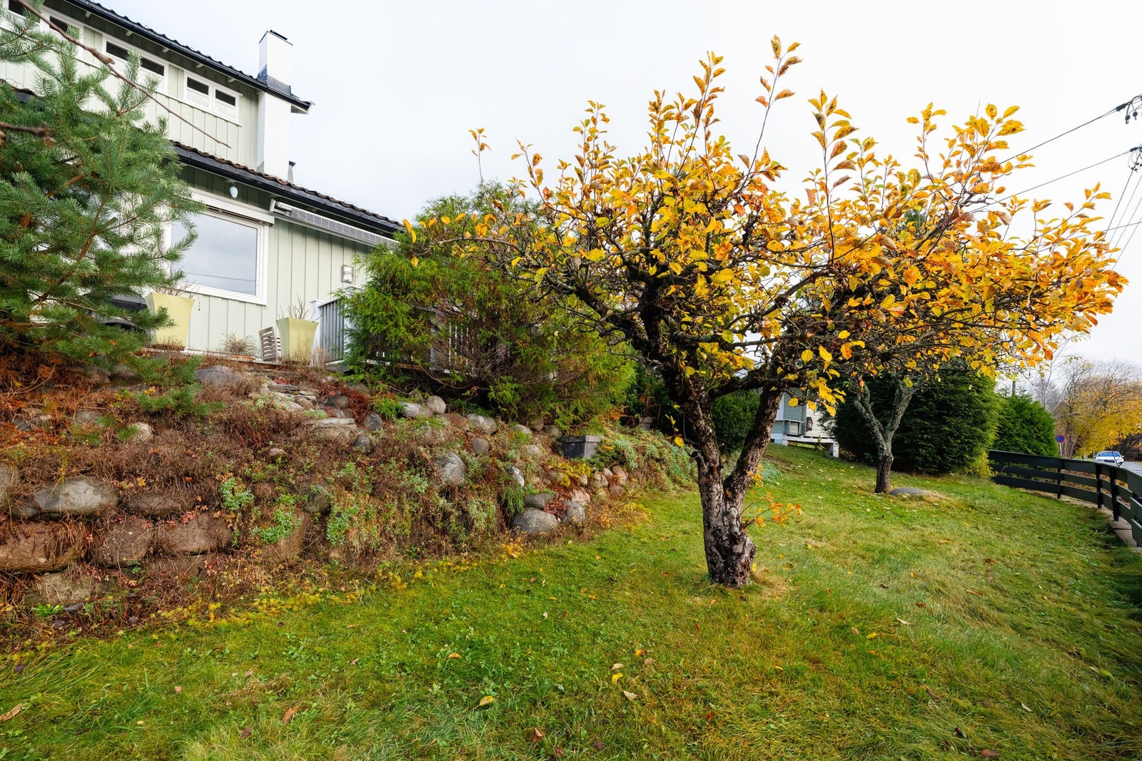 Hagen byr på flotte bed, prydbusker, fin beplantning, frukttrær, bærbusker og stedvis naturtomt. Galleribilde