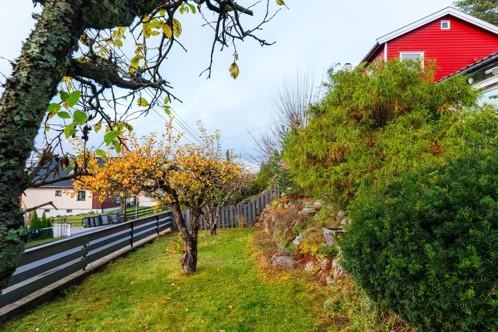 Her vil store og små trives. Galleribilde