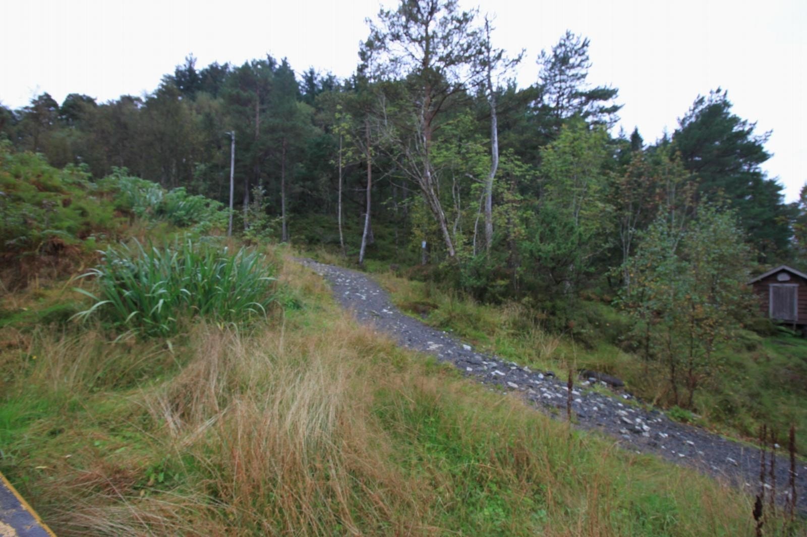 Turterreng ved siden av eiendommen Galleribilde
