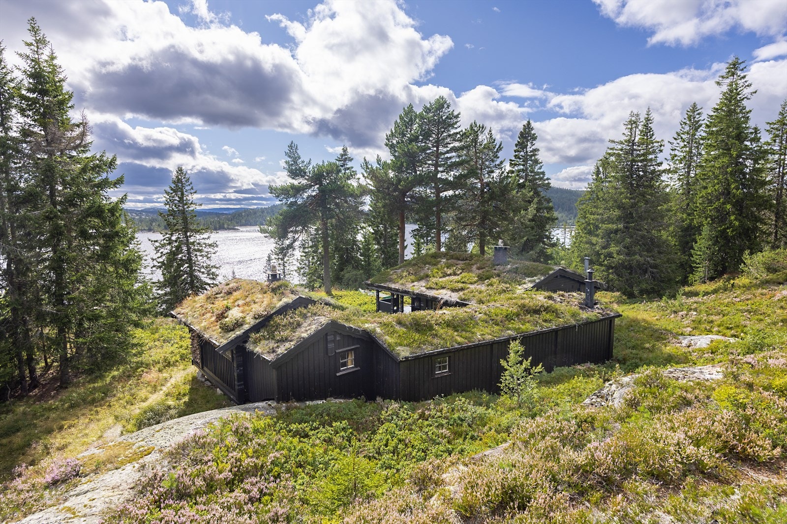 Et harmonisk blikk. Hyttetunet sett fra nord. Galleribilde