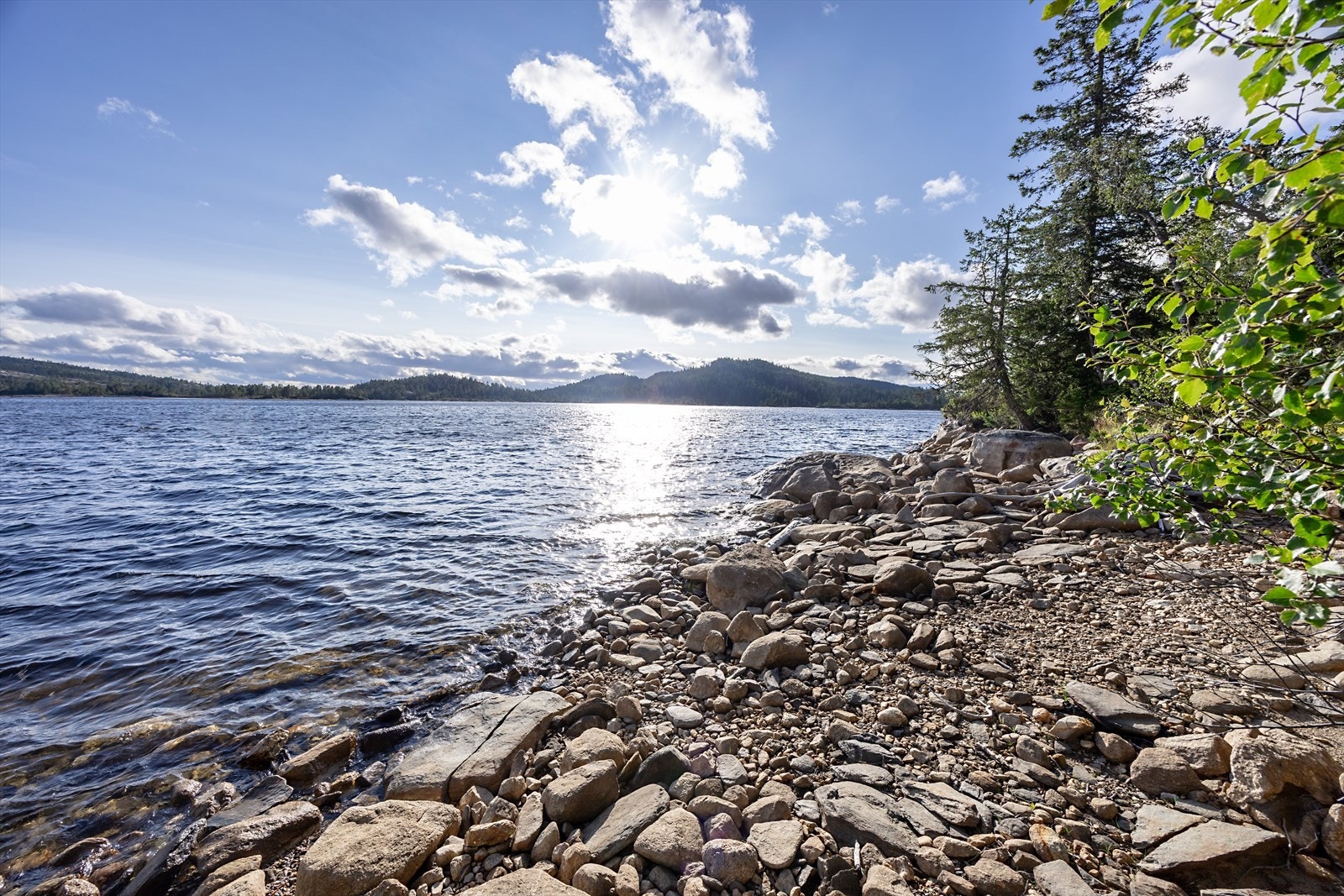 Atkomst til nydelige plasser ved Holmvatn via sti rett ned fra hytta. Galleribilde