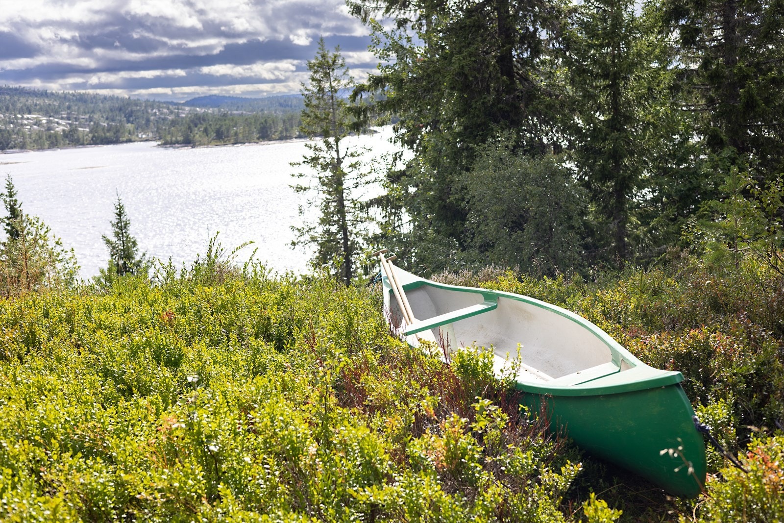 Kanskje tenke på å ta en tur med kano´n (som medfølger). Galleribilde