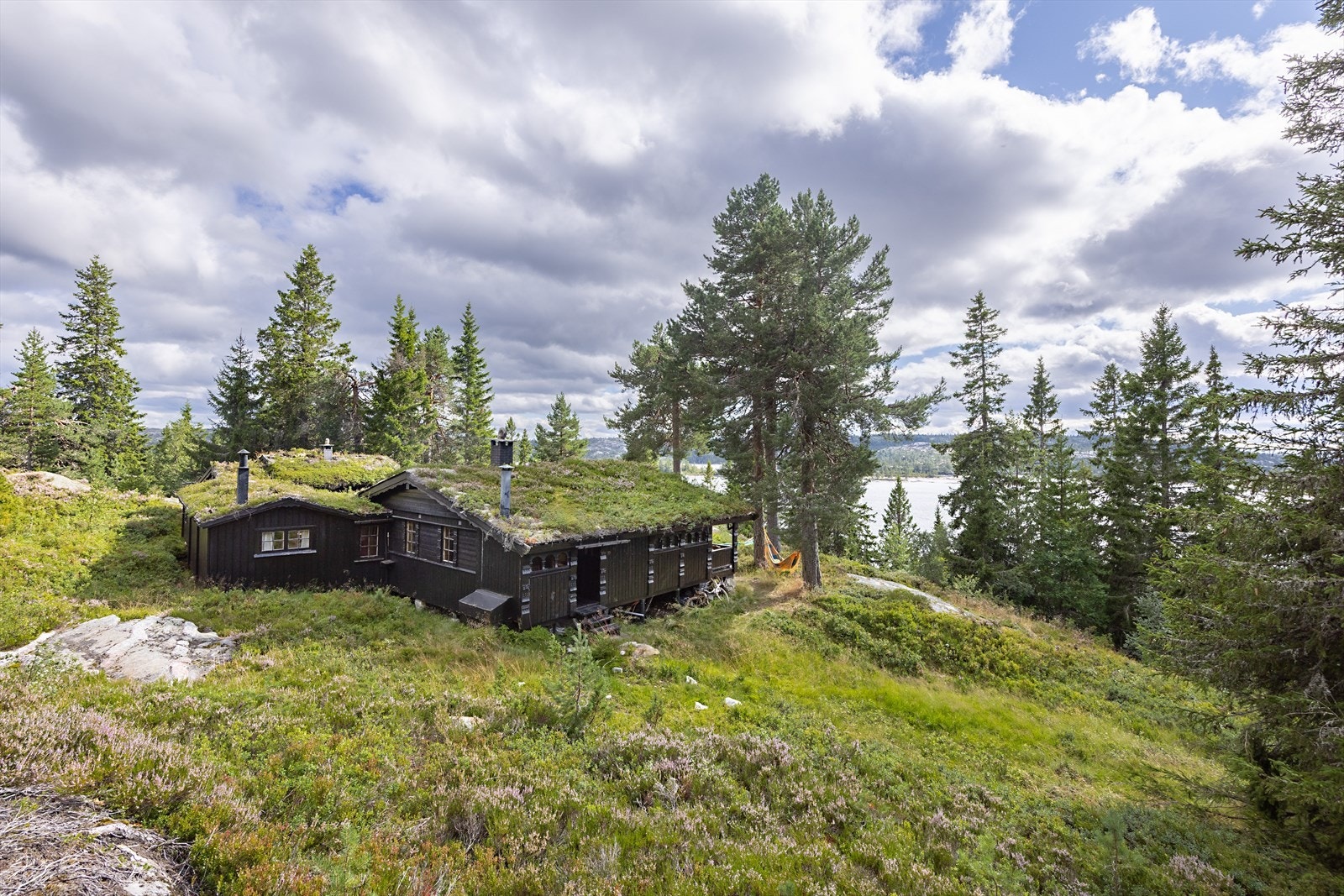 Hytta sett fra blåbærlia i bakkant. Galleribilde