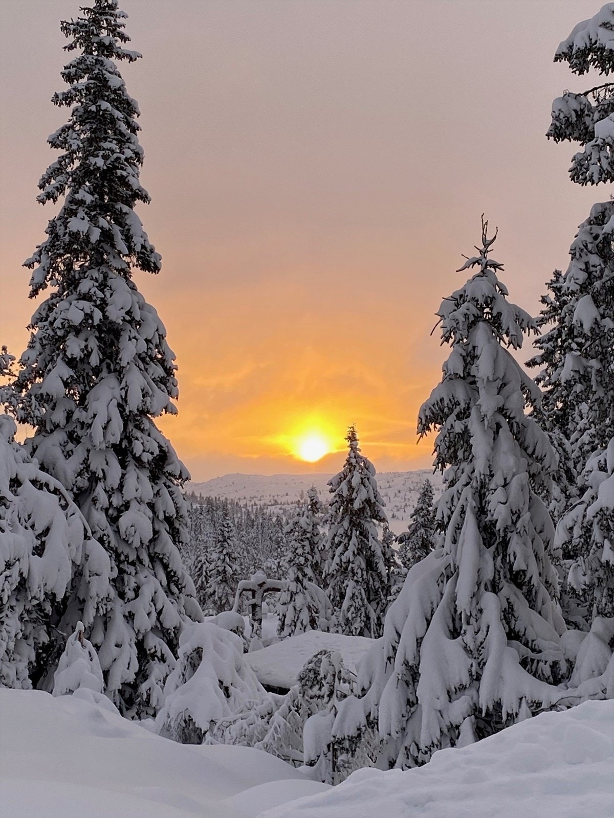 Et eventyr! (Selgers private bilder) Galleribilde