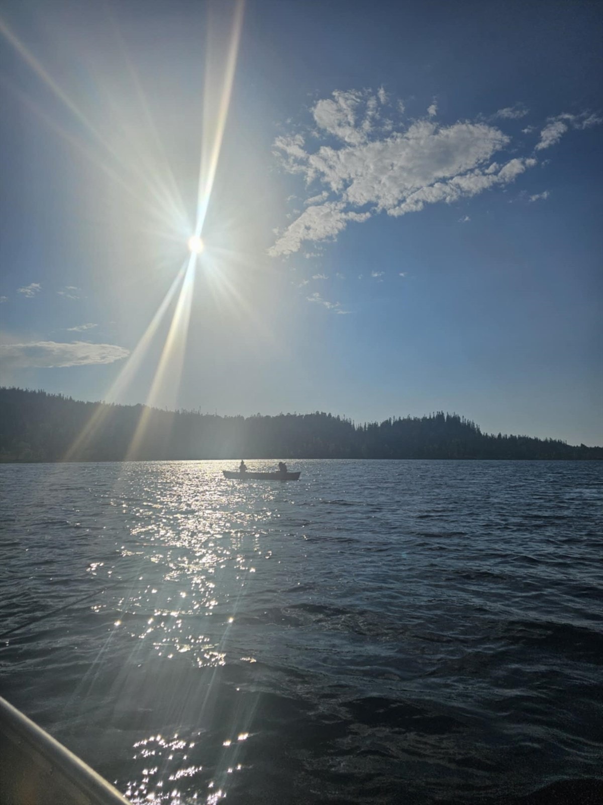 sommer 2.jpg Galleribilde