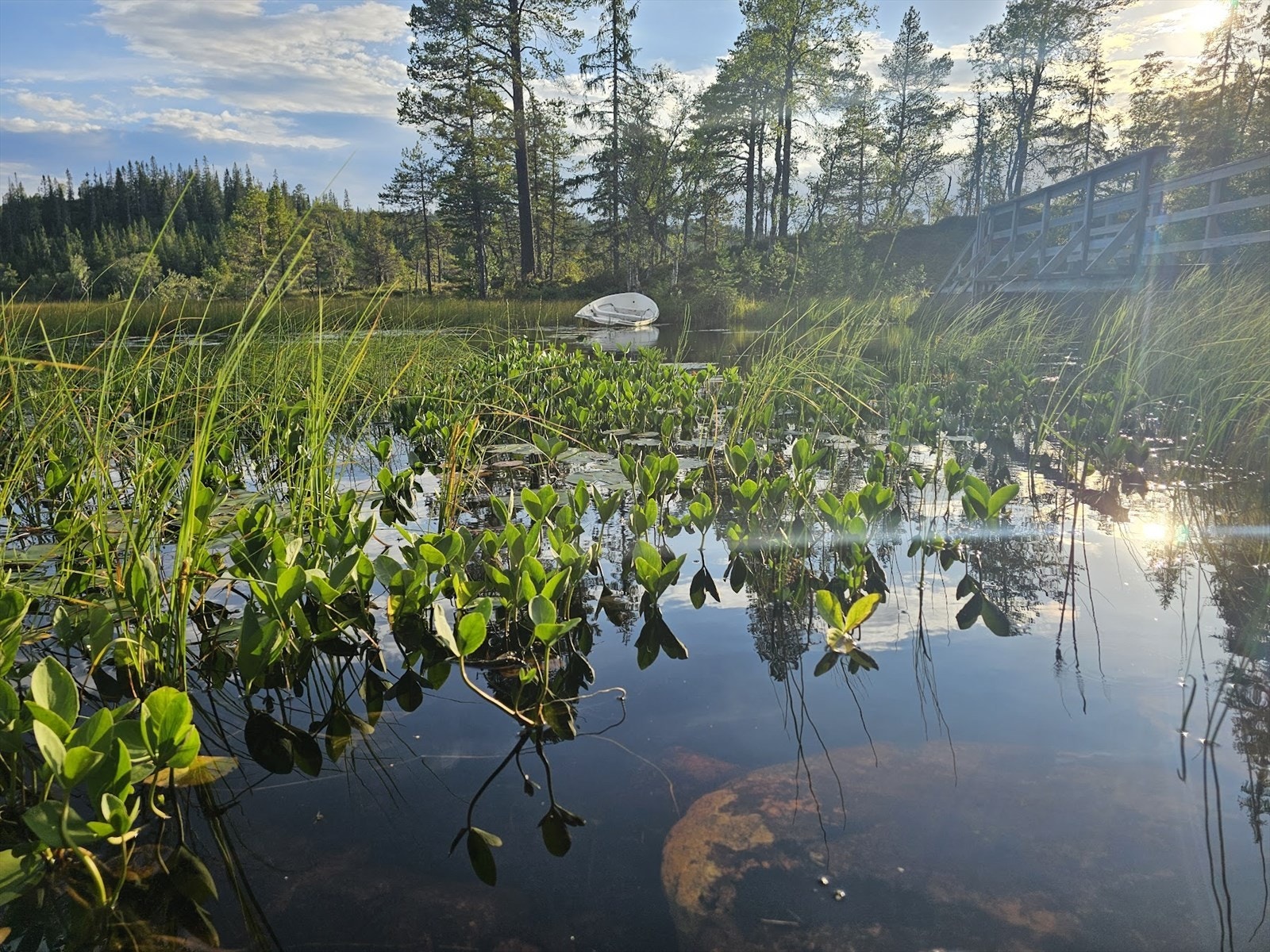 20240813_191207.jpg Galleribilde