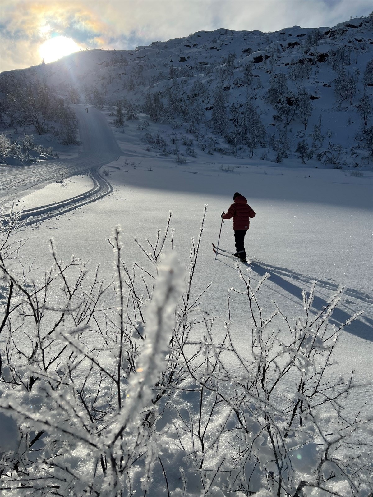 Private stemningsbilder Galleribilde