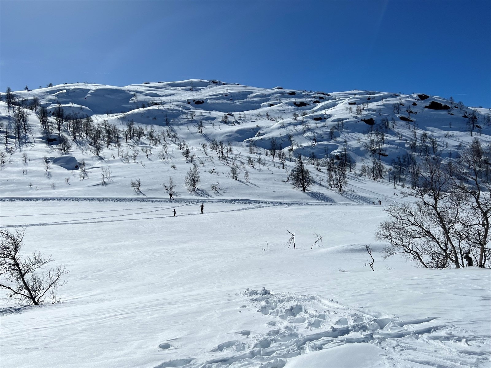 Private stemningsbilder Galleribilde