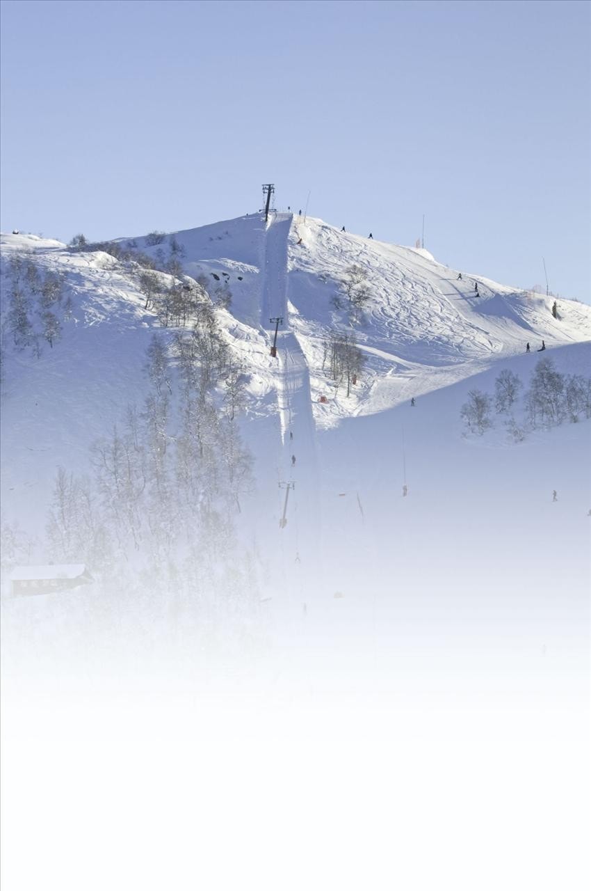 Øverste trekk i alpinbakken Galleribilde