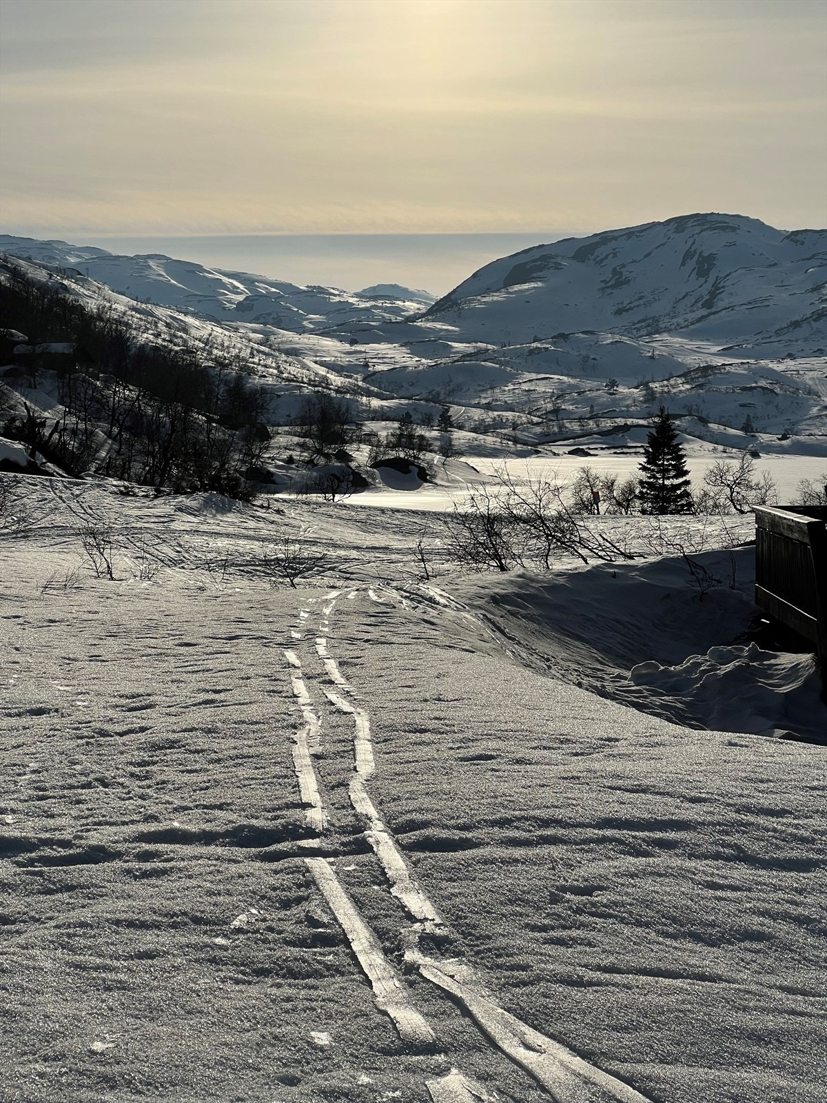 Private stemningsbilder Galleribilde