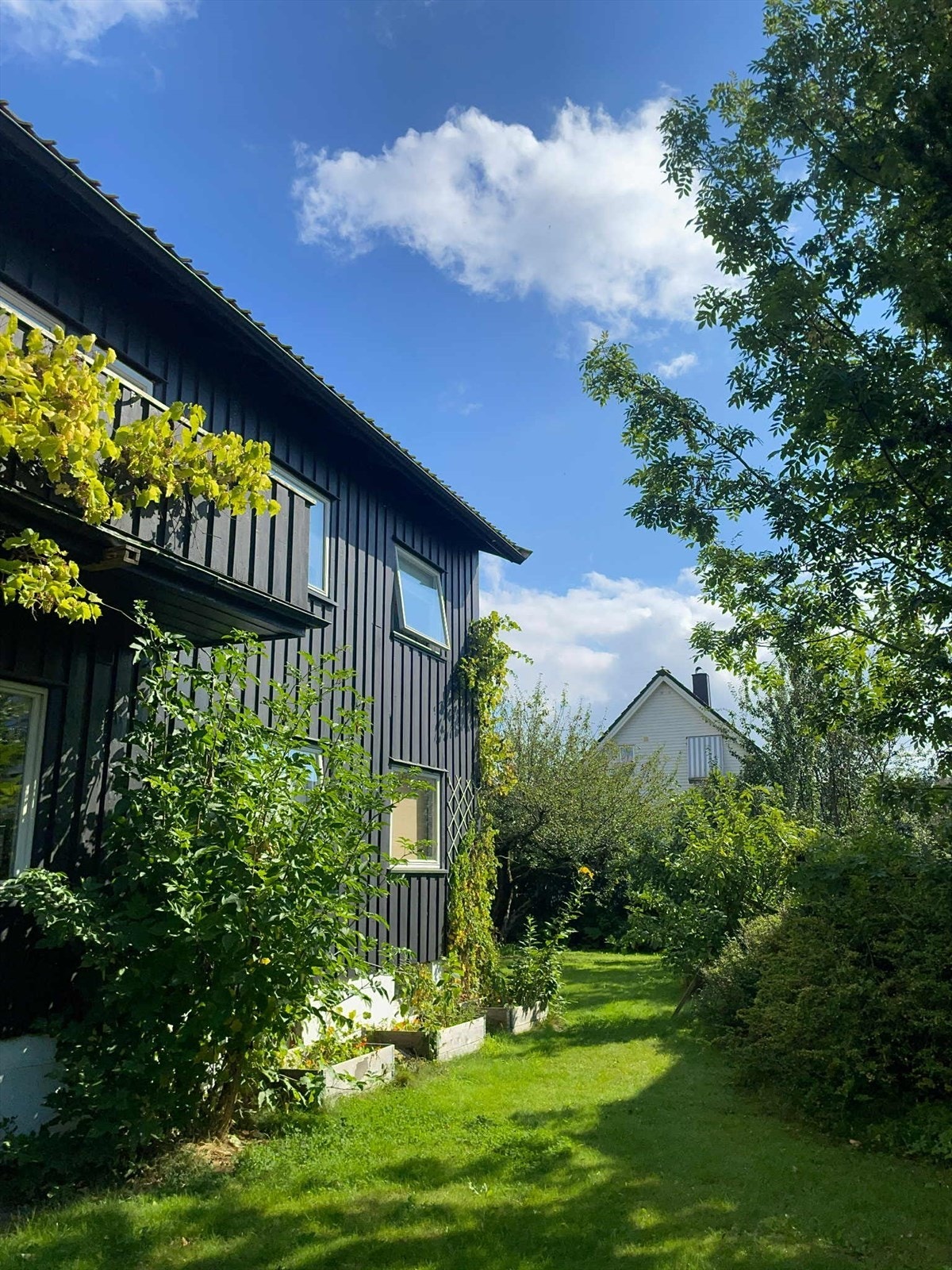 Bilde tatt av selger. Galleribilde