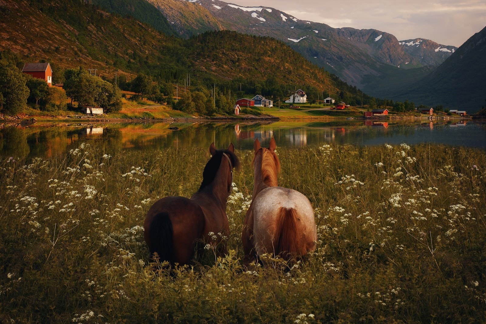 Dette bildet er for eksempel tatt av selger, like nedenfor boligen. Er ikke dette flott? Galleribilde