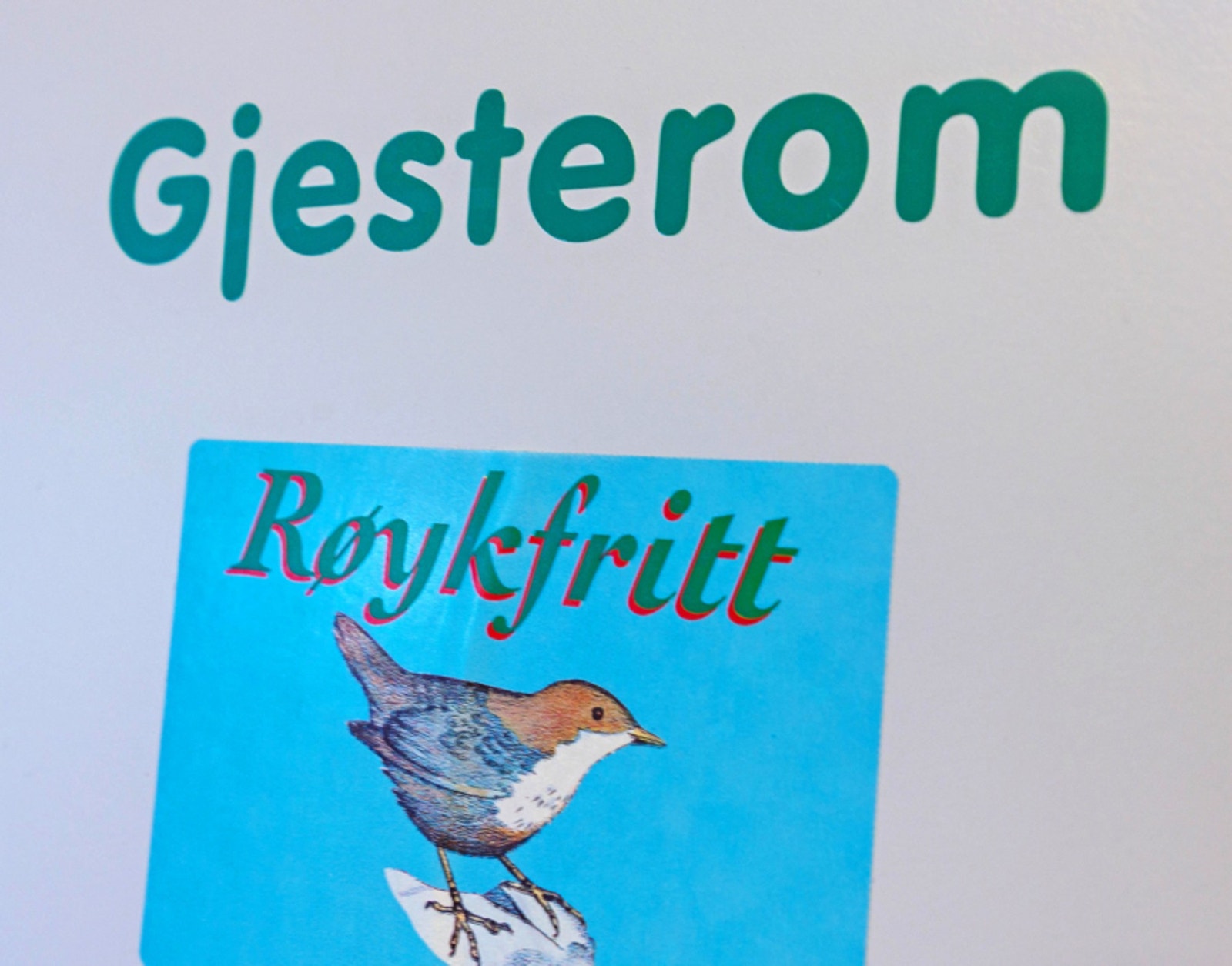 Borettslaget har også gjesterom til utleie Galleribilde