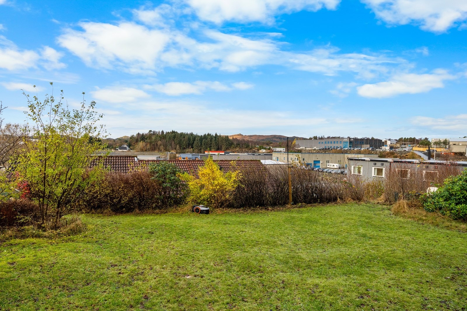 Flott og frodig hage med god boltreplass. Galleribilde
